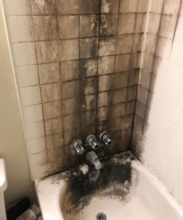 Bathroom Mold